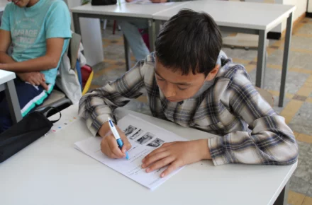 Nederlands schrijven